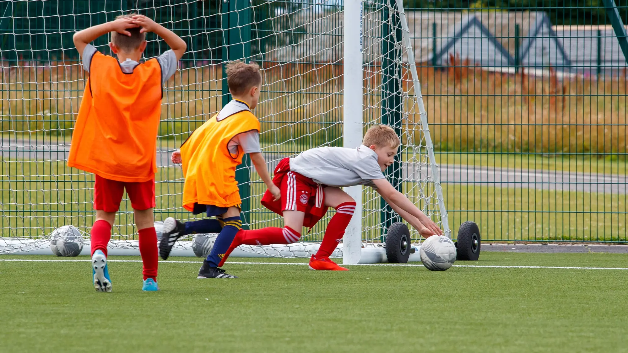Term Time Coaching 2022 image