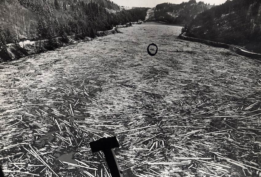 1964 logs in reservoir