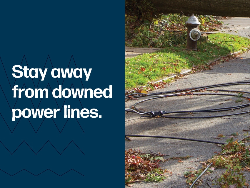 Stay away from downed power lines.