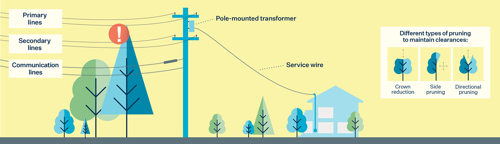 A yellow graphic showing the different types of lines that can be attached to PGE utility poles, and how we prune trees near lines.