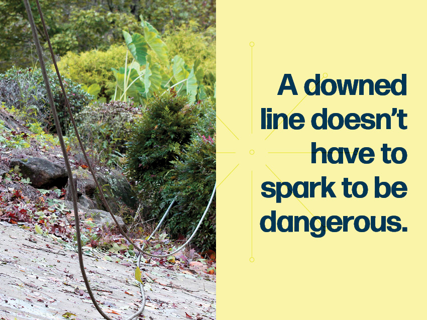 A downed line doesn’t have to spark to be dangerous.