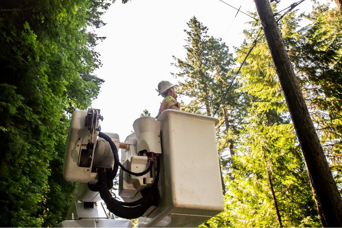 crew member safely positions the bucket lift during hazard tree removal operations 