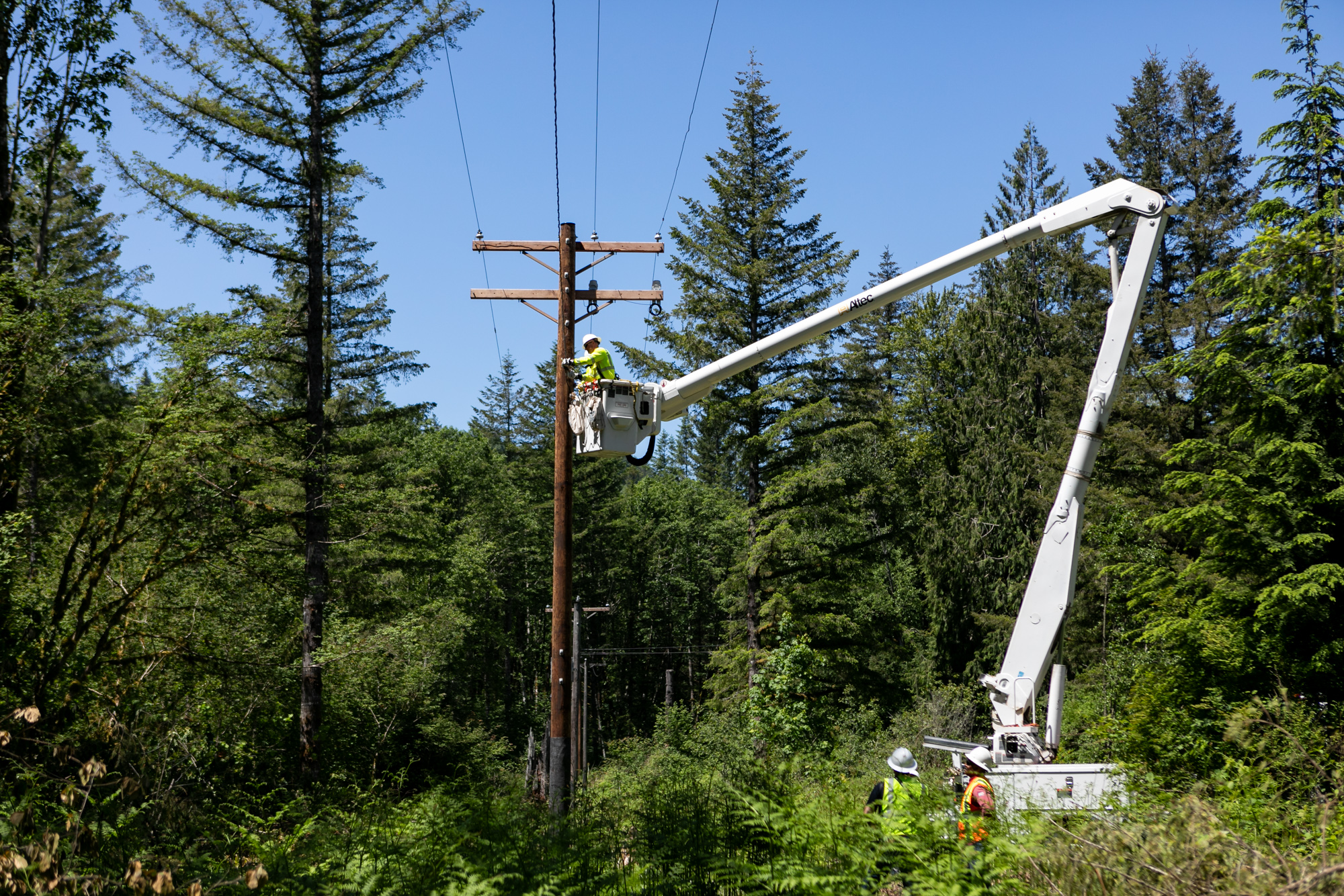 PGE crews conduct tree-trimming and vegetation management in Mt. Hood National Forest
