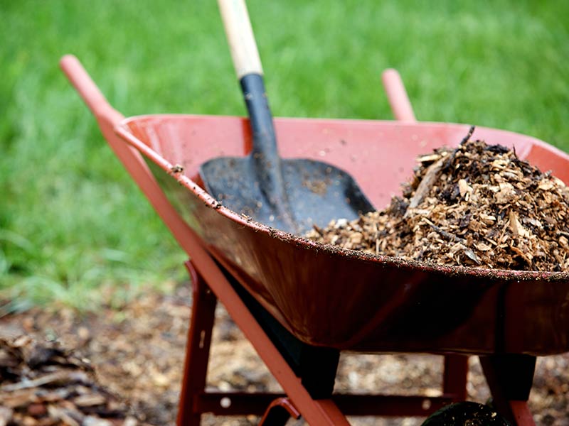 How to Use Wood Chips in Your Yard