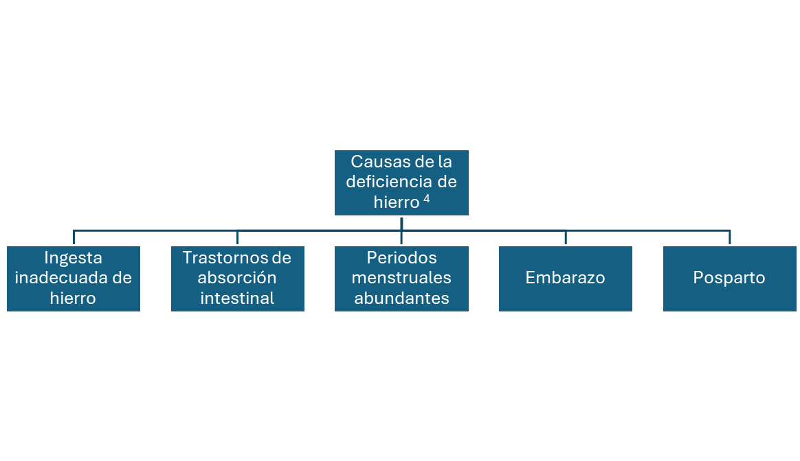 Deficiencia de hierro en mujeres en edad fértil​ - Diagram
