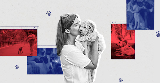 Cómo Laika se convirtió en el héroe de su propia historia