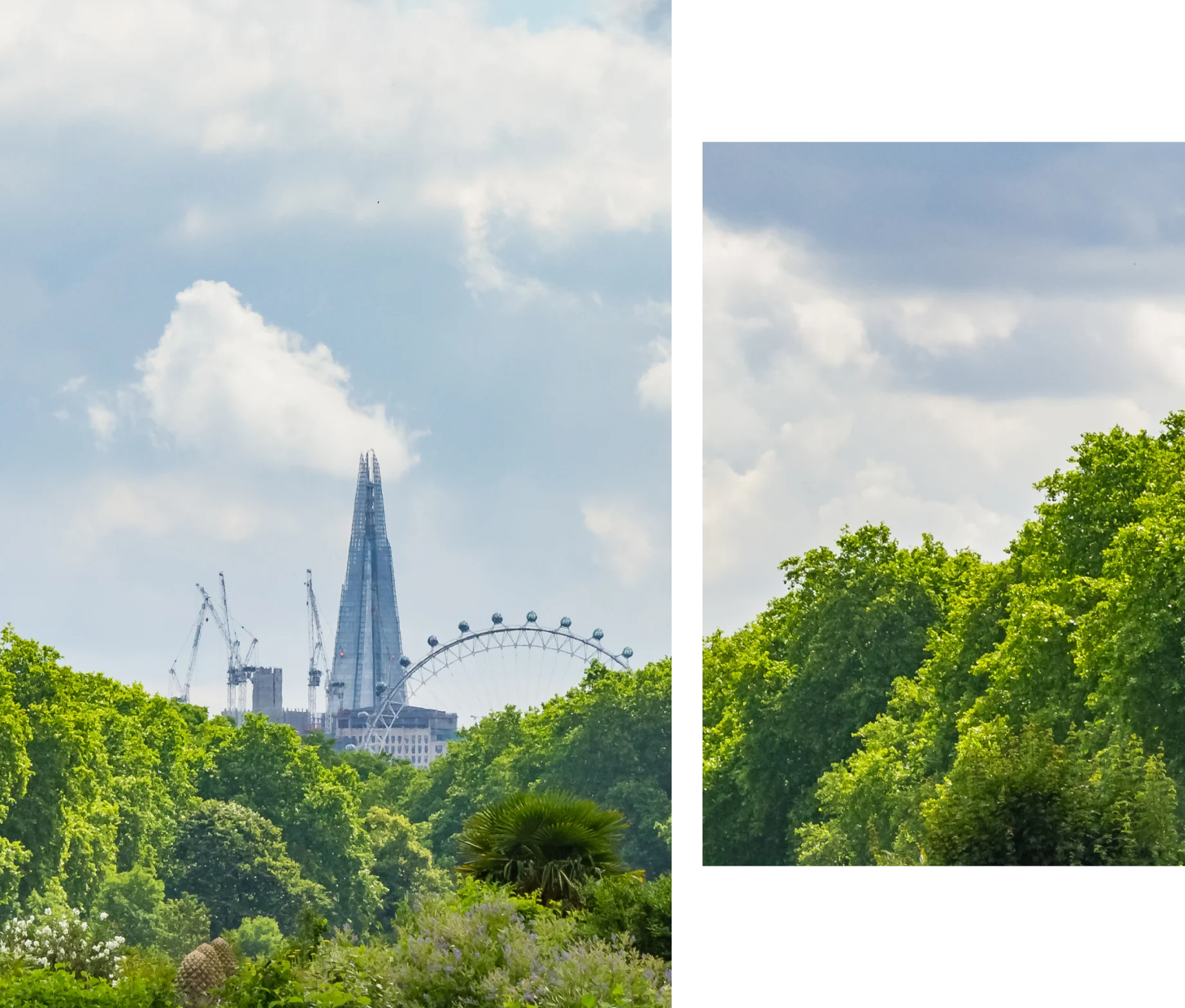 esg-engaging-with-environment