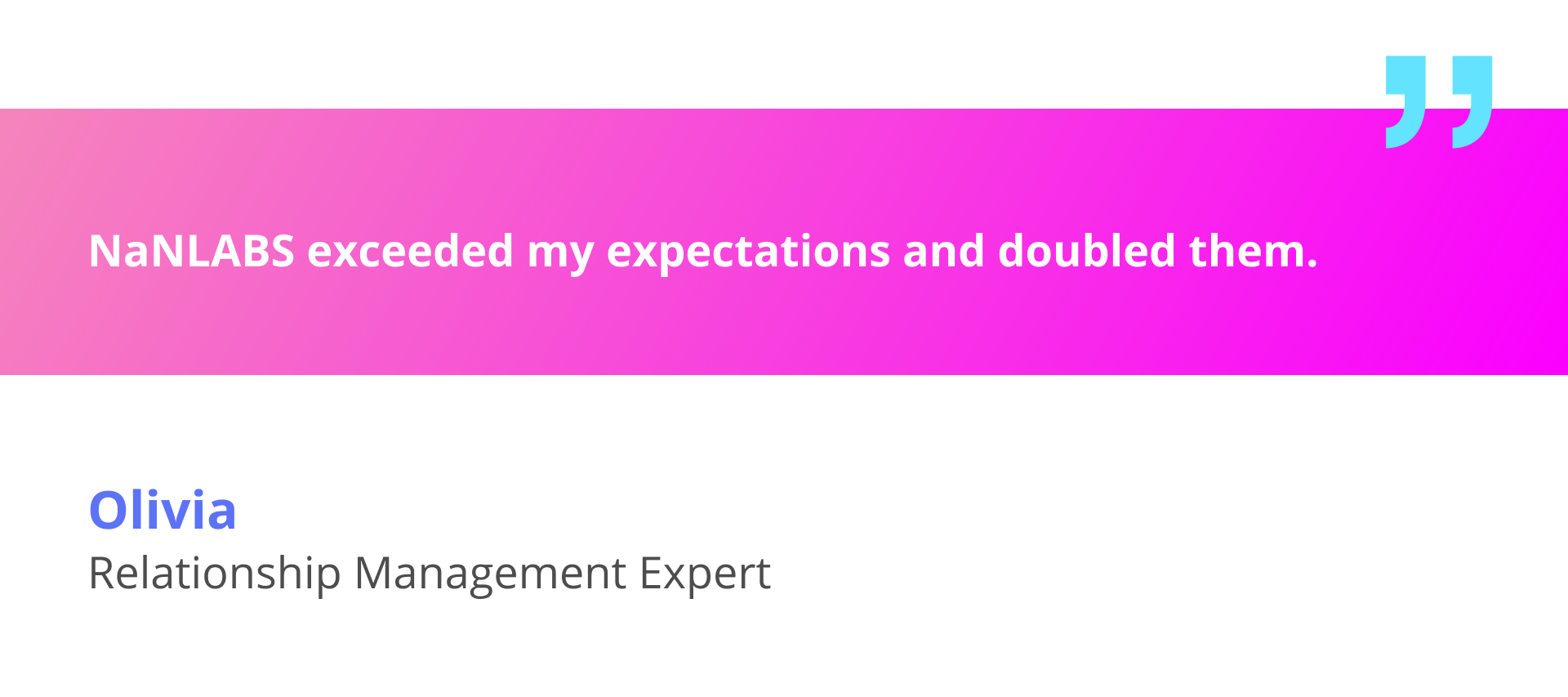 Quote by NaNLABS’s client on product development expectations