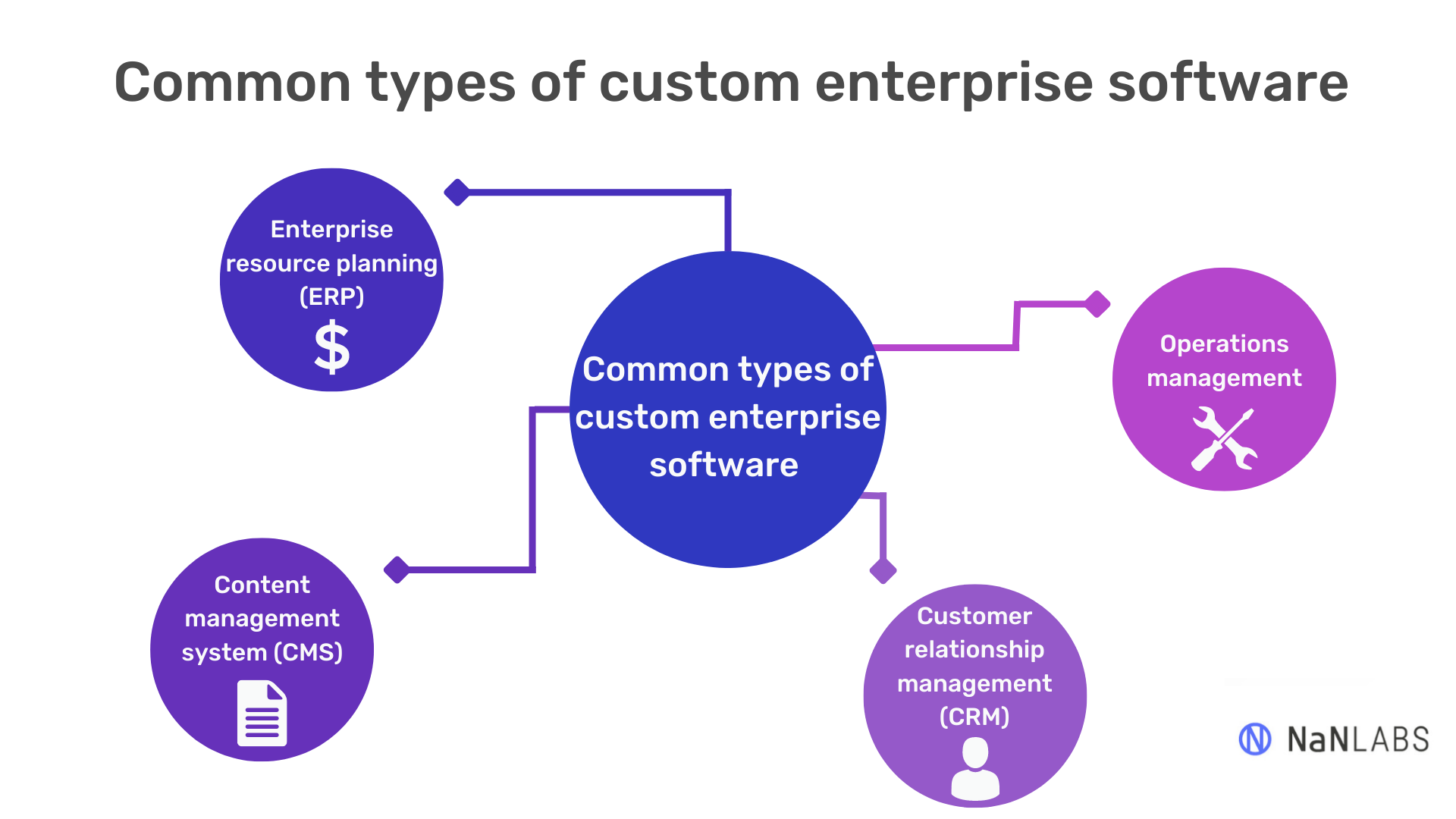 NaNLABS - Custom Enterprise Software Development: What to Know Before ...