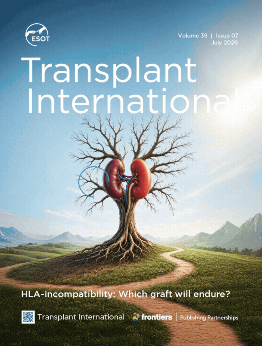 HLA-incompatibility: Which graft will endure?