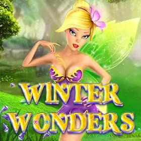 Winter Wonders