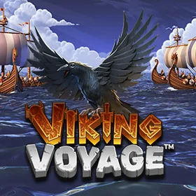 Viking Voyage