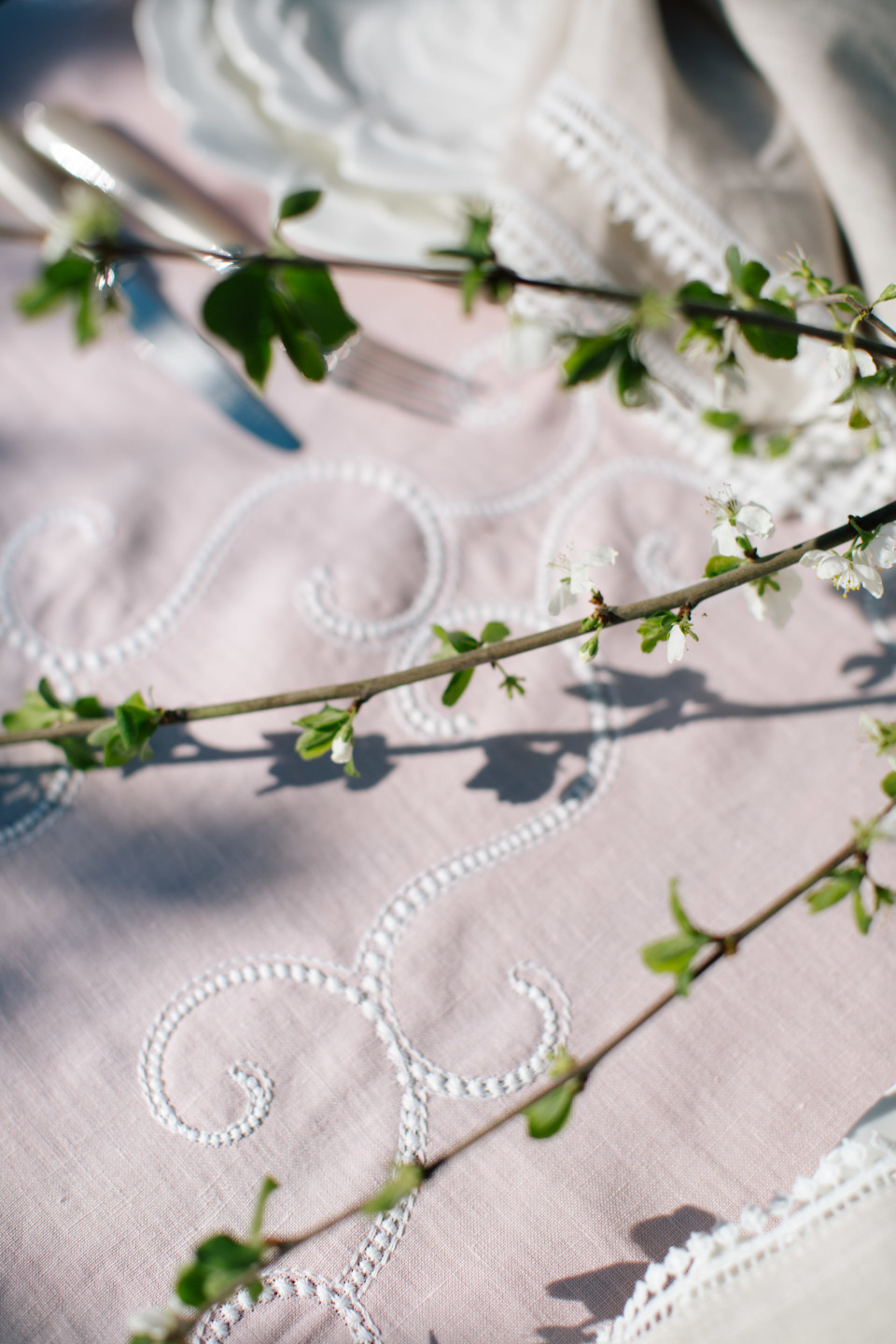 tree branch over fabric