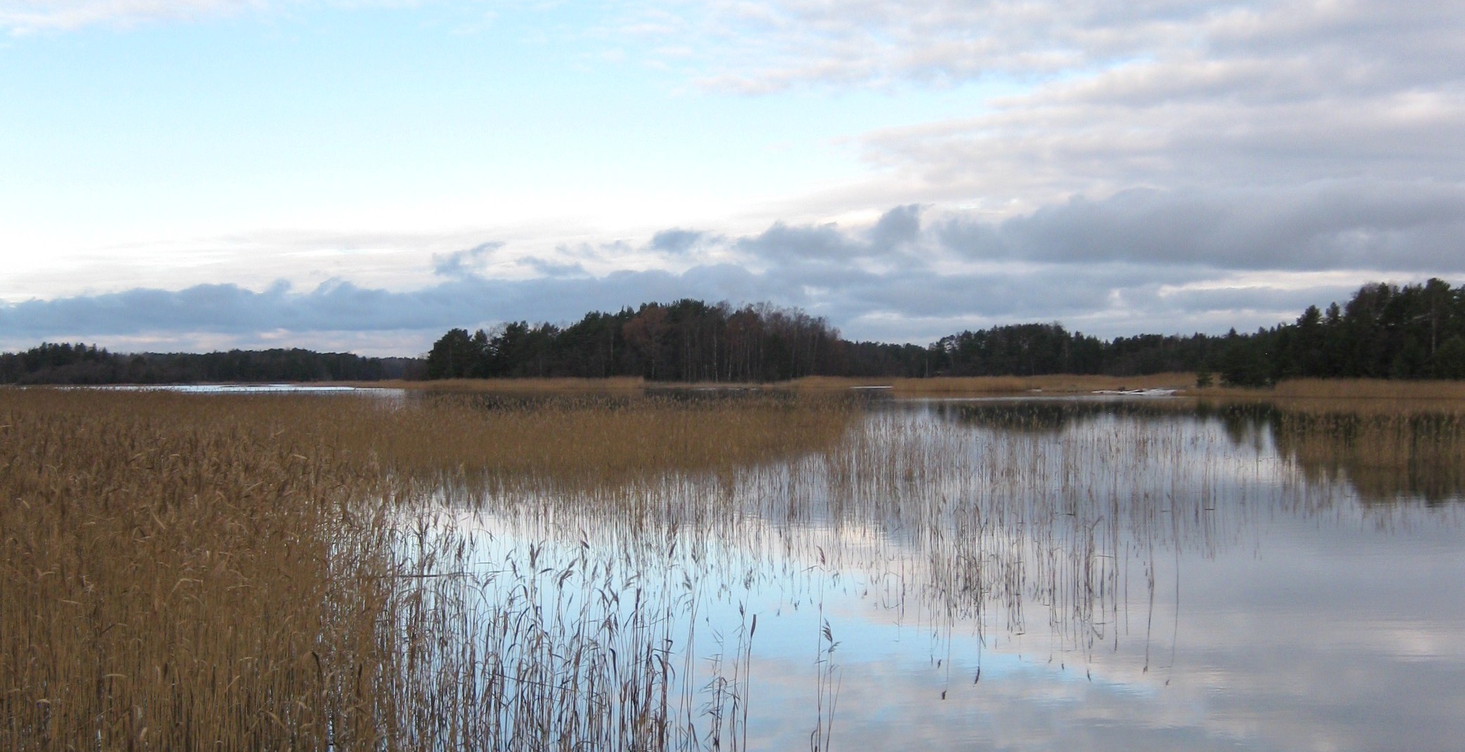 natural fibres video thumbnail