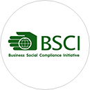 bsci logo 