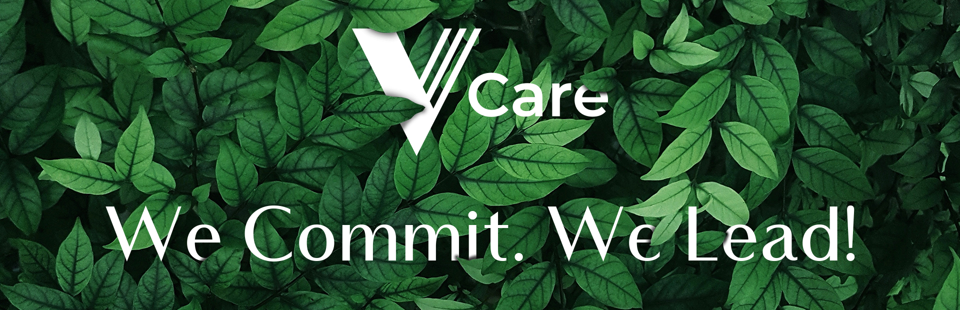 vanelli recycle video