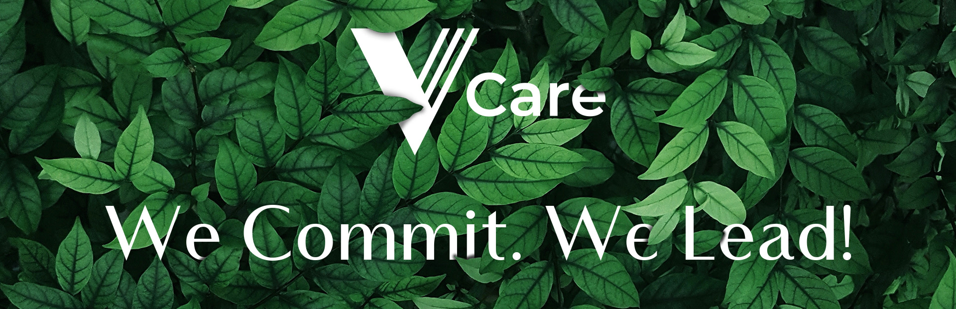 vanelli recycle video