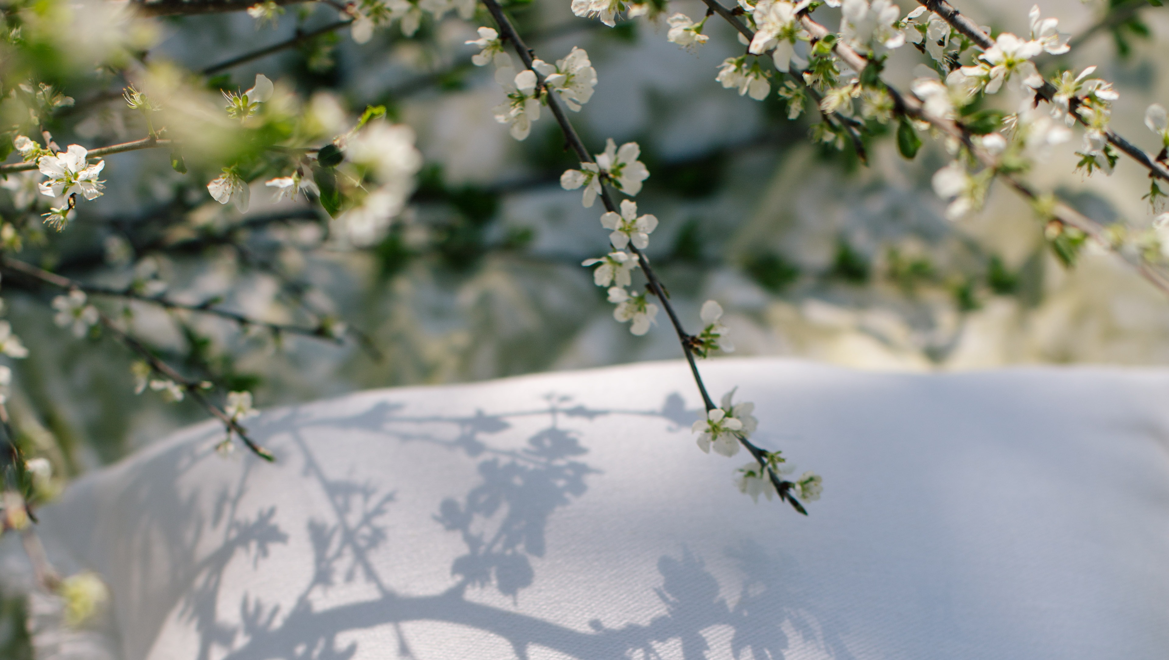 floral patterned cushion