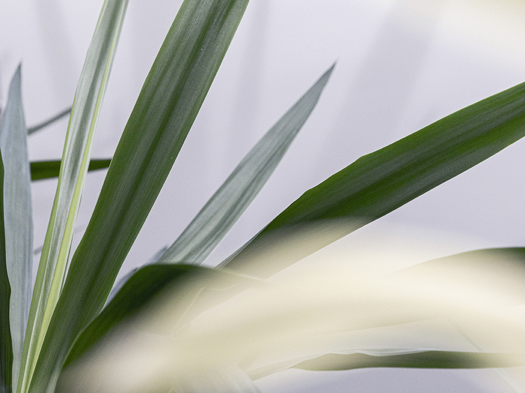 Our Environmental Policy