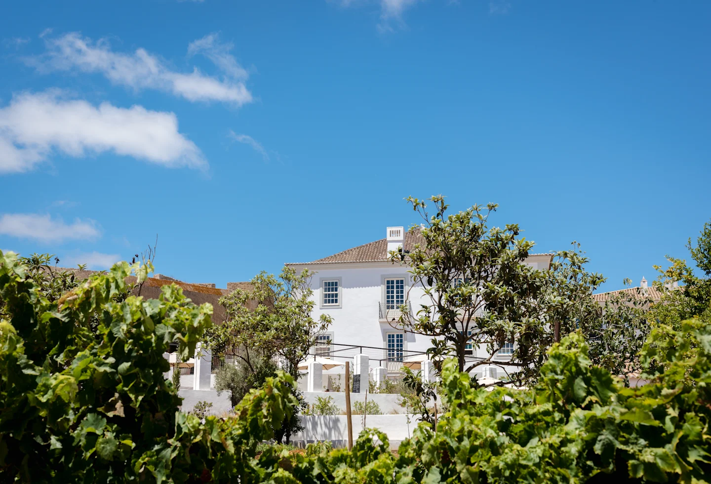 Casa Mae — photo 4