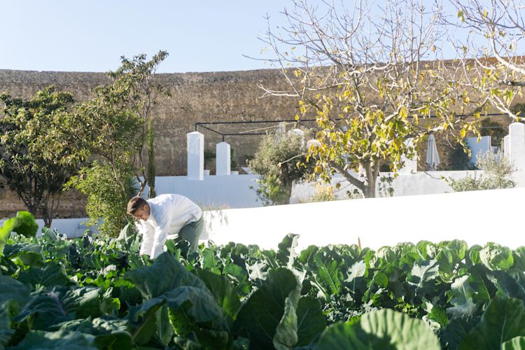horta workshop