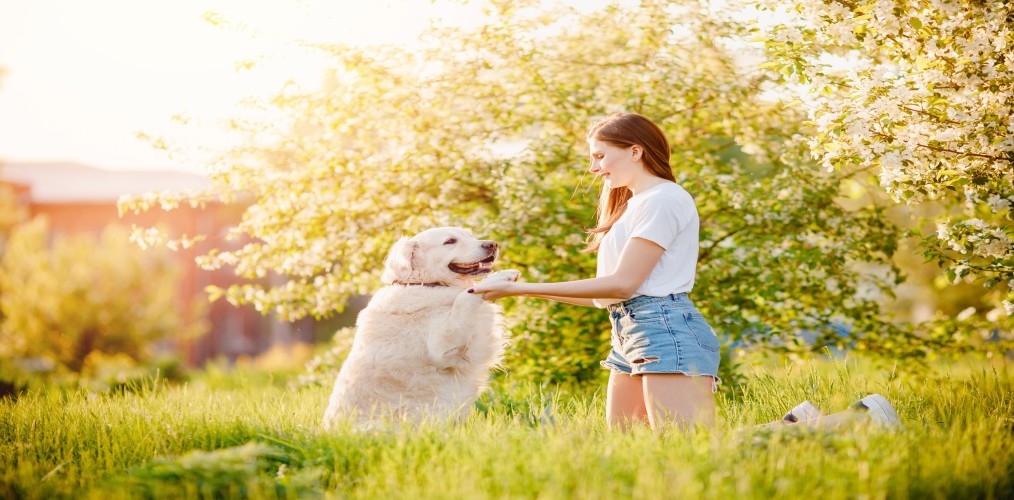 Pet Psychics & Signs Your Furry Friend Can Benefit From a Reading