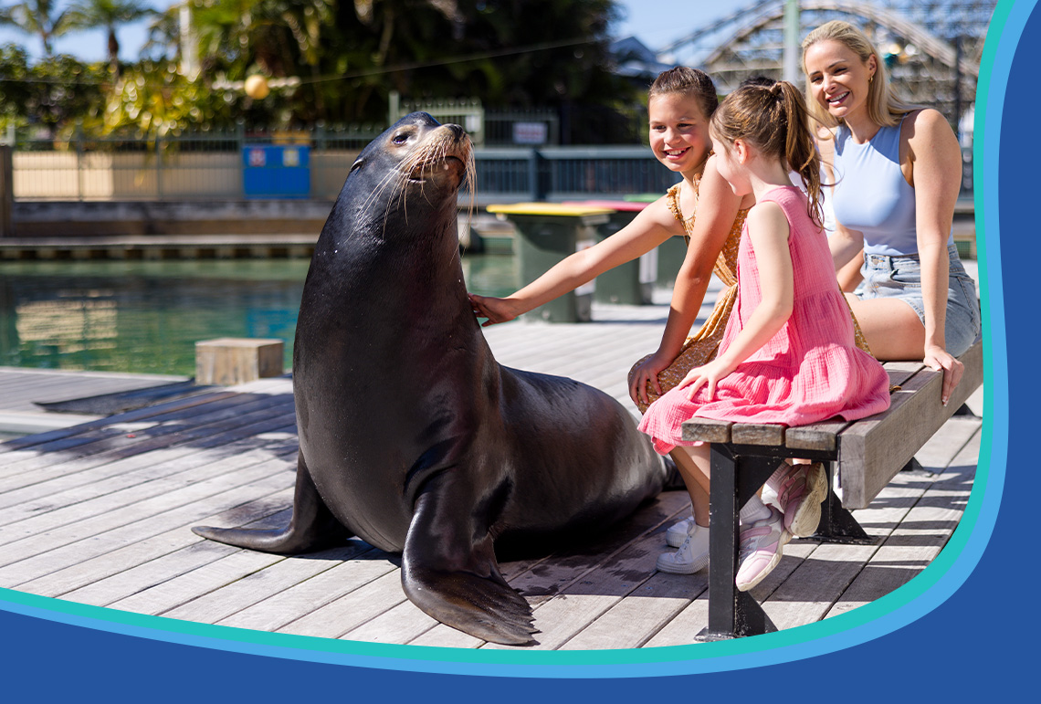 Two children and two adults sit on a bench, smiling and petting a large sea lion on a wooden deck beside a pool at an outdoor aquarium or zoo.