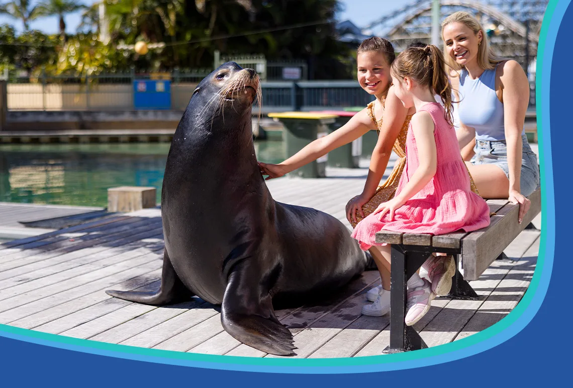 Two children and two adults sit on a bench, smiling and petting a large sea lion on a wooden deck beside a pool at an outdoor aquarium or zoo.