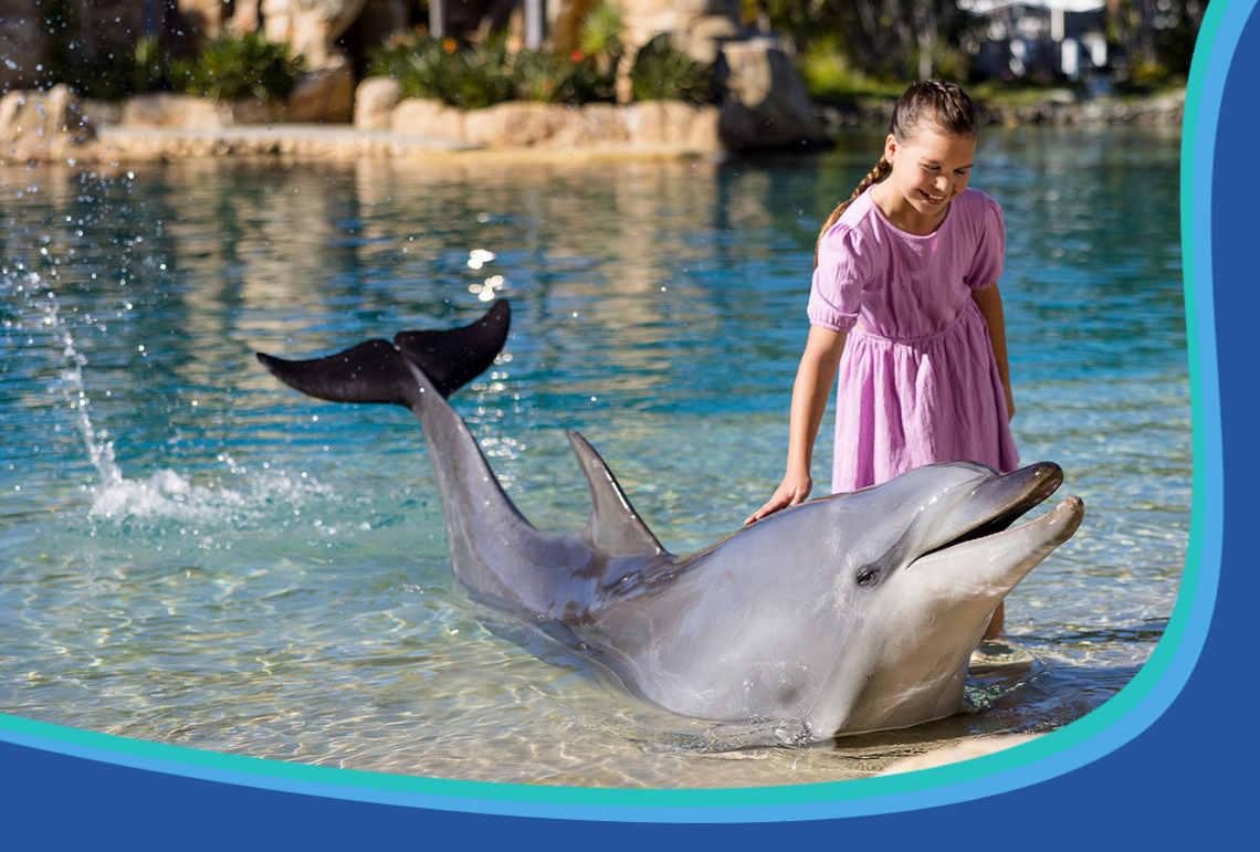 A young girl in a pink dress smiles and gently touches a dolphin emerging from clear blue water at a tropical aquatic park. Rocky landscaping and greenery are visible in the background.
