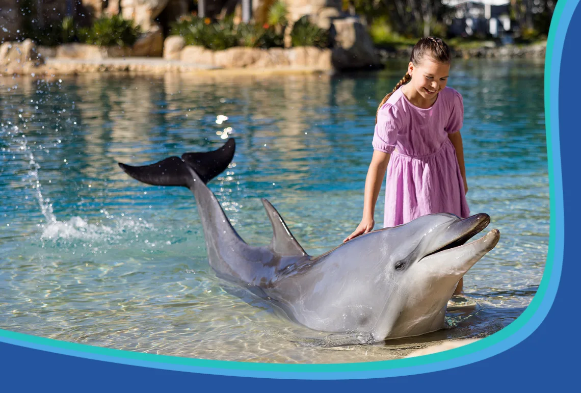 A young girl in a pink dress smiles and gently touches a dolphin emerging from clear blue water at a tropical aquatic park. Rocky landscaping and greenery are visible in the background.