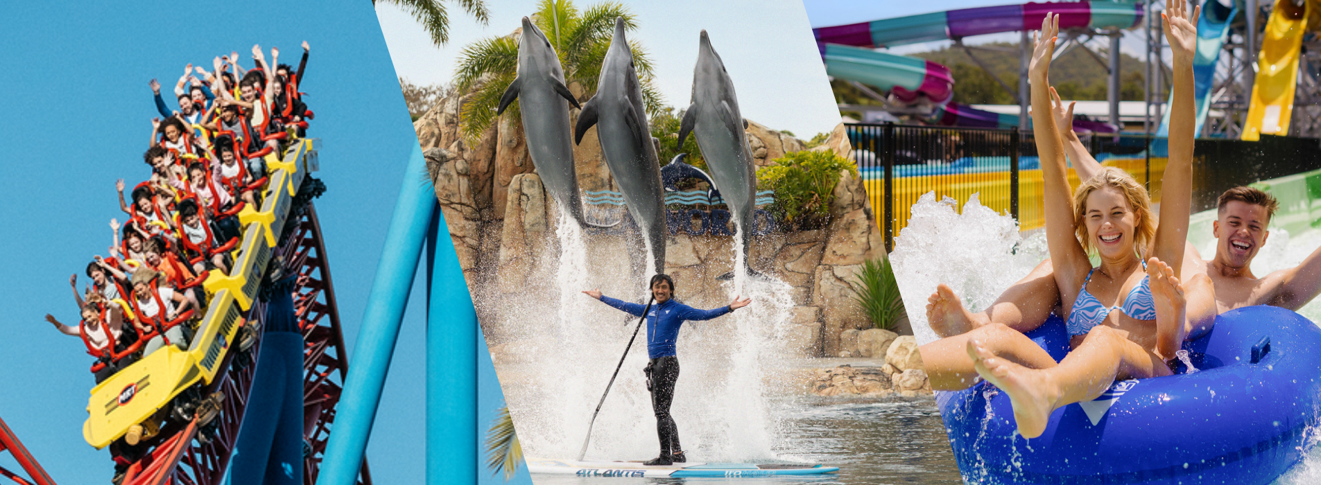 A collage showing people on a roller coaster, a trainer with jumping dolphins, and a smiling couple on a water park ride in inflatable tubes.