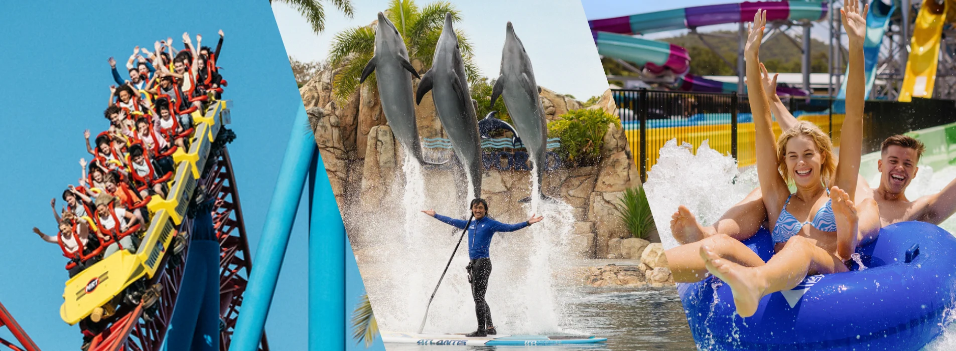 A collage showing people on a roller coaster, a trainer with jumping dolphins, and a smiling couple on a water park ride in inflatable tubes.