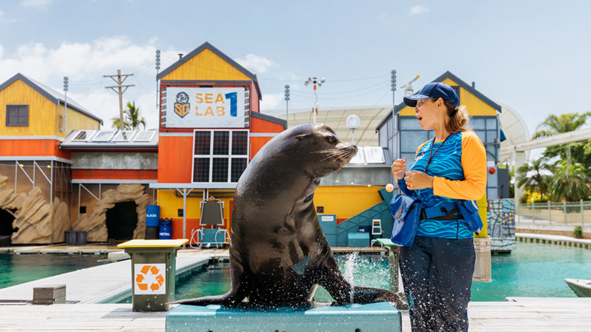 A person interacts with a seal at an outdoor aquatic facility labeled "Sea Lab," featuring colorful buildings and a pool.
