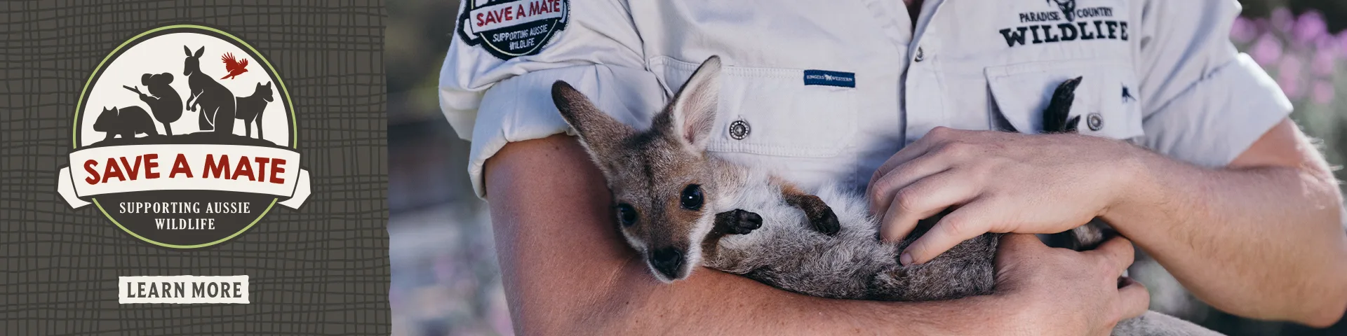 A person in a wildlife uniform holds a small kangaroo. A logo on the left reads "Save A Mate: Supporting Aussie Wildlife." A button below says "Learn More.