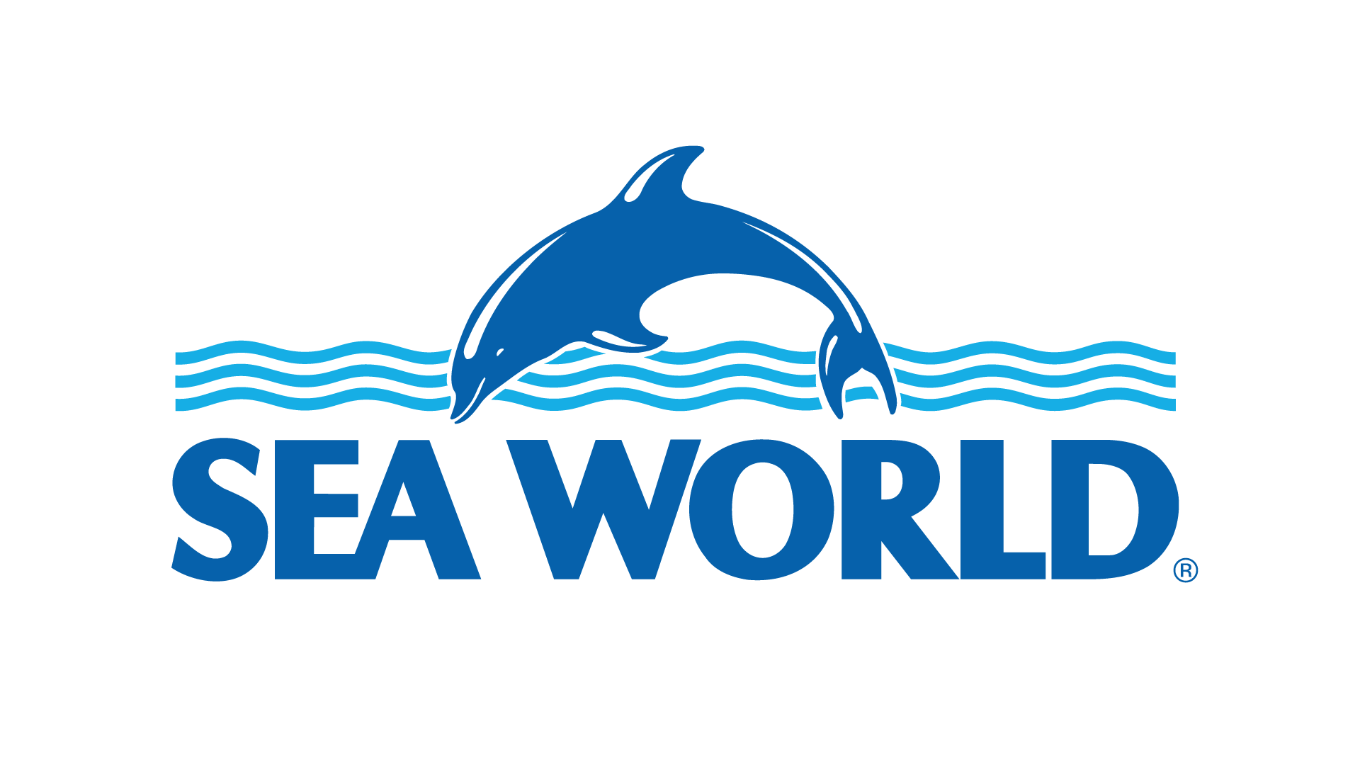 Sea World logo featuring a stylised blue dolphin above wavy lines, with the words "Sea World" in bold blue letters below.