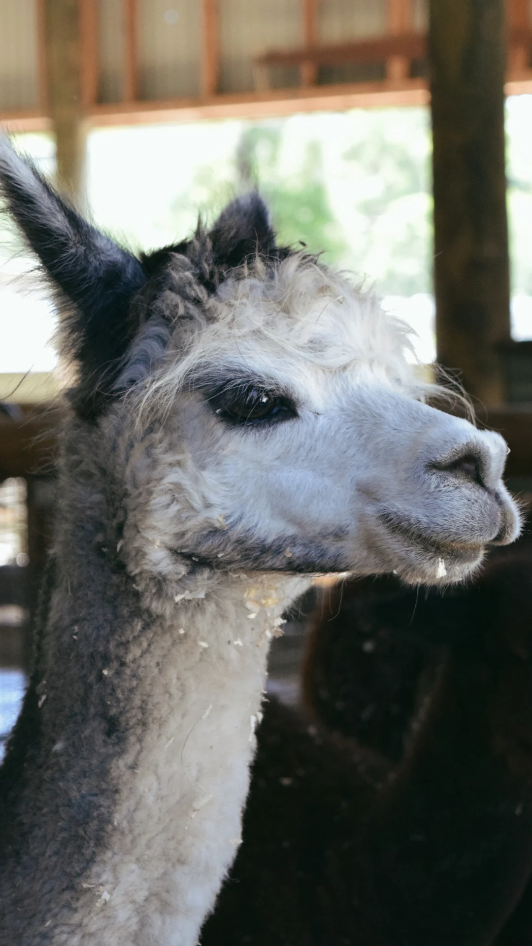 f17961f9-a645-4fce-996b-e06377a5f615.orig-1080x1920-b6eb182