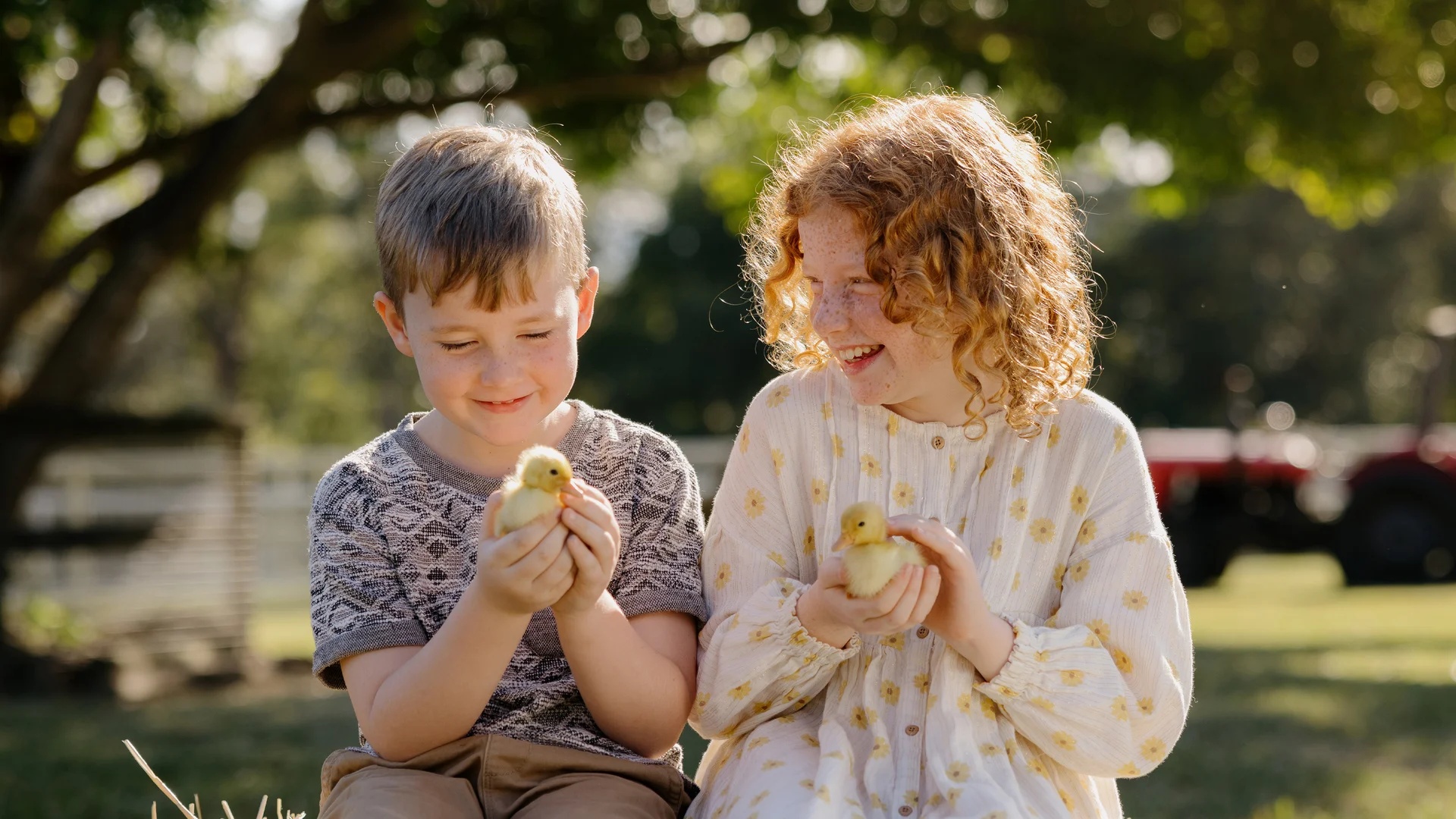 Two children sit on a hay bale outdoors, smiling and holding baby chicks. Sunlight filters through trees in the background, and a red tractor is visible in the distance.