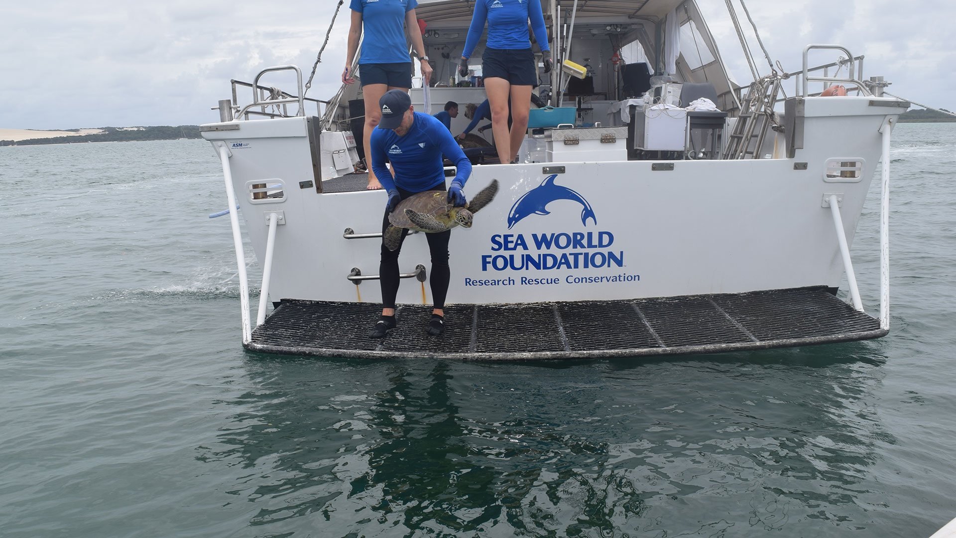 From the agent view, a person releases a sea turtle from a boat labeled "Sea World Foundation" into the water, with two others in the background.