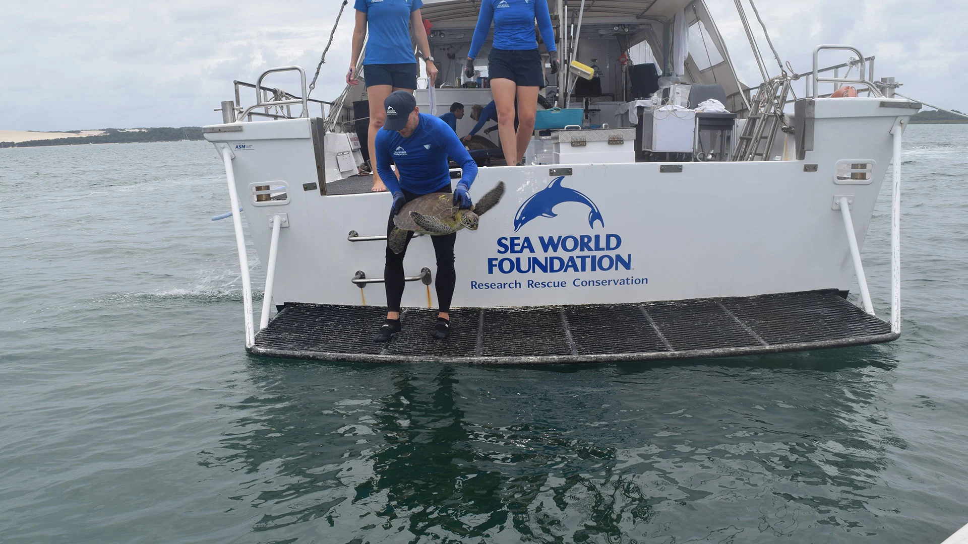 From the agent view, a person releases a sea turtle from a boat labeled "Sea World Foundation" into the water, with two others in the background.