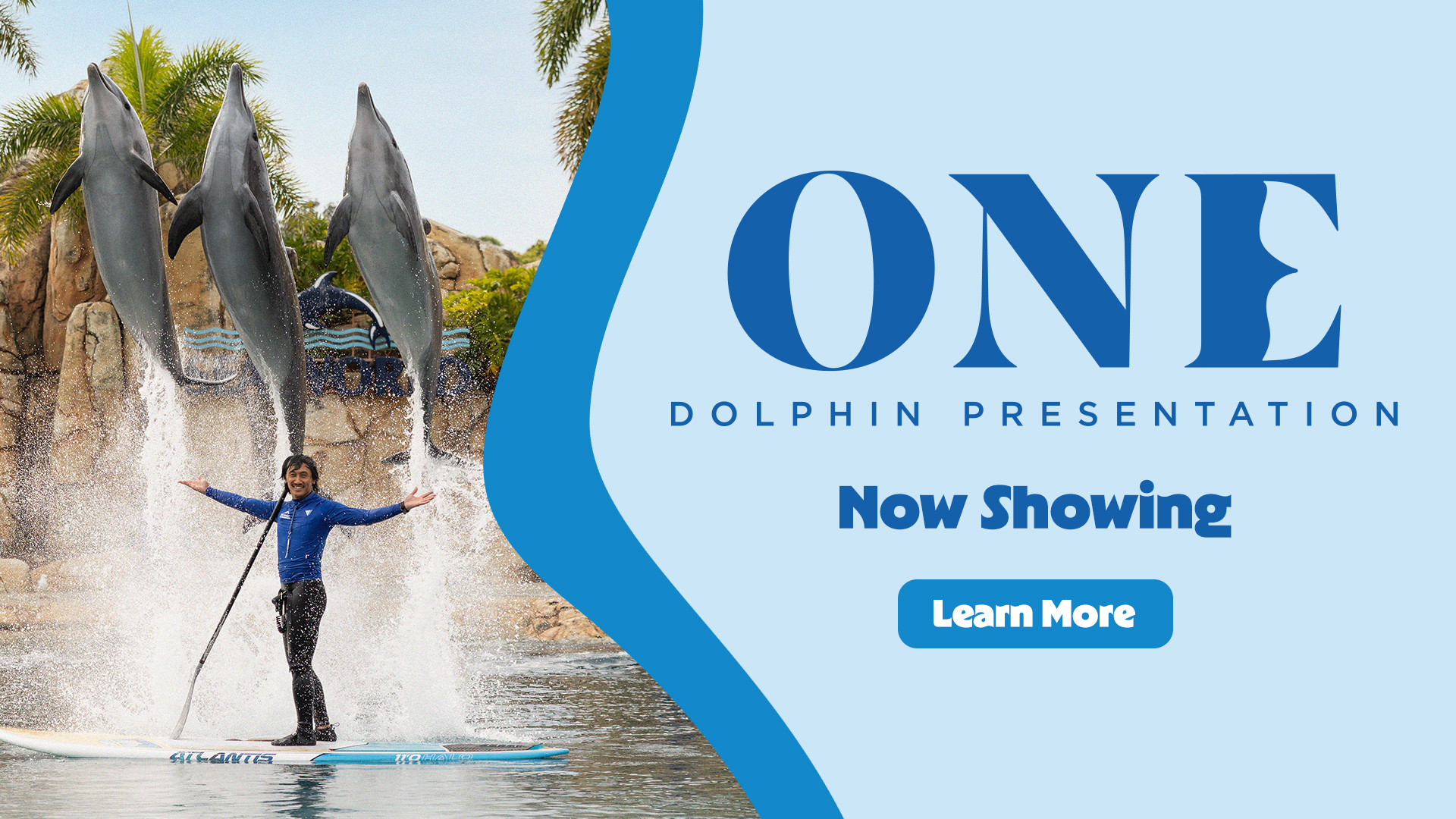 Banner for "ONE Dolphin Presentation" shows two dolphins leaping with a trainer, and a trainer interacting with a dolphin in water. Text reads: "Coming 15 December." A blue "Learn More" button is at the bottom.
