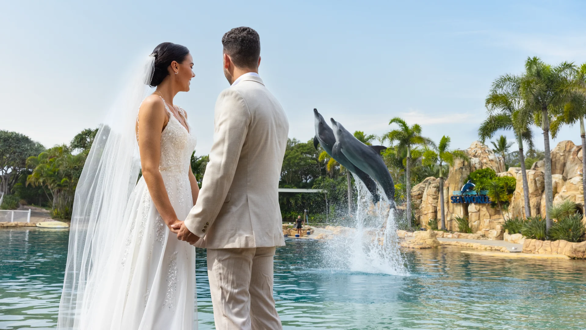 A bride and groom stand hand in hand by a lagoon, with a dolphin leaping out of the water in the background. Palm trees and rocky landscaping surround the scene on a sunny day.
