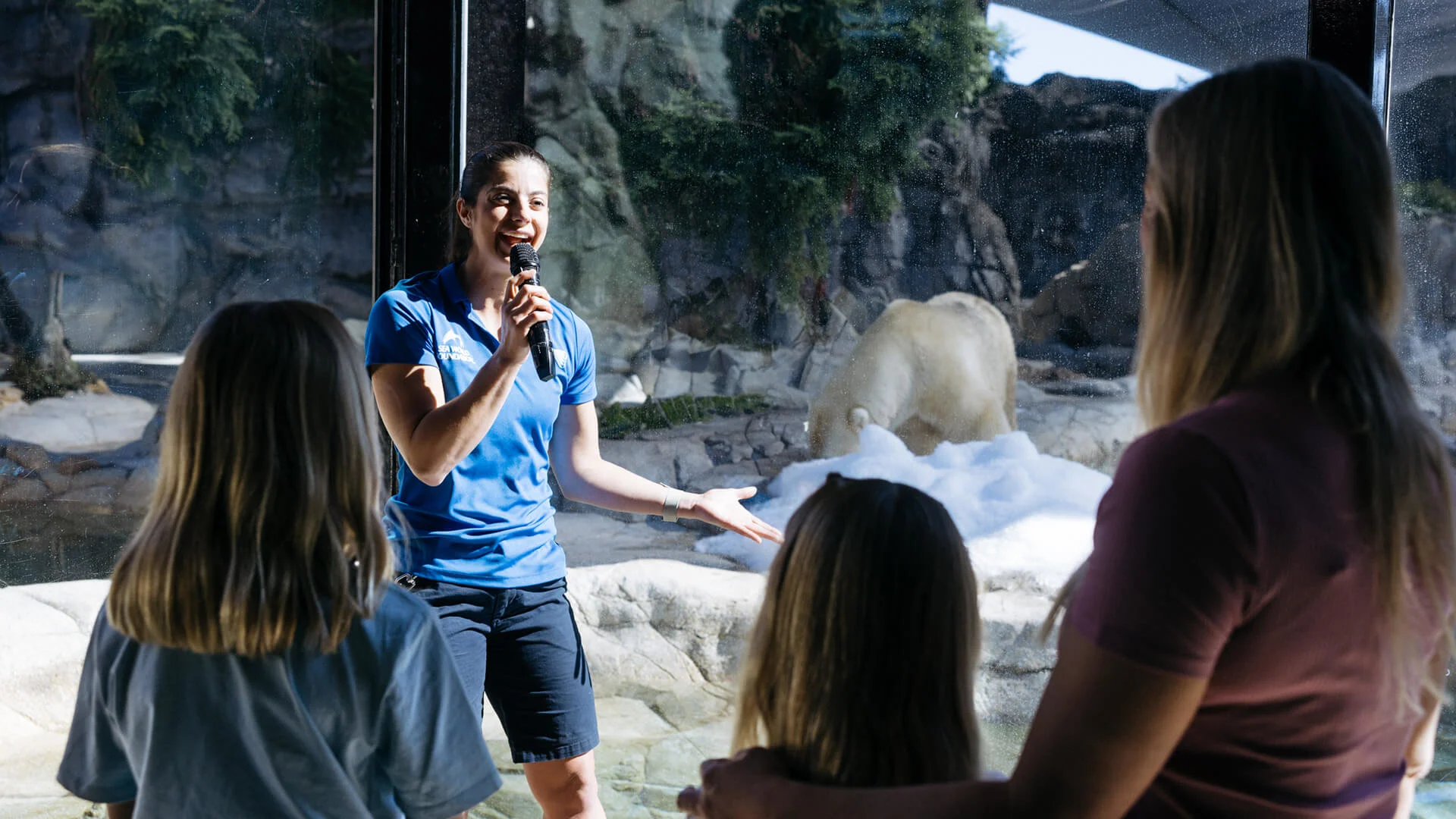 A woman in a blue shirt speaks into a microphone in front of a glass enclosure with a polar bear, while three people listen.