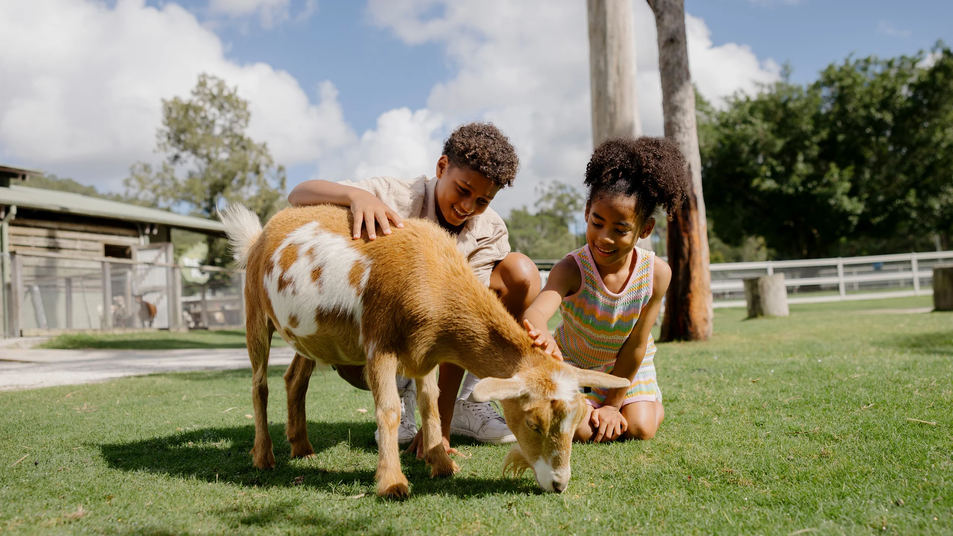 Two children kneel on grass petting a brown and white goat that is grazing. The scene is outdoors on a sunny day, with trees, a fence, and a barn visible in the background.