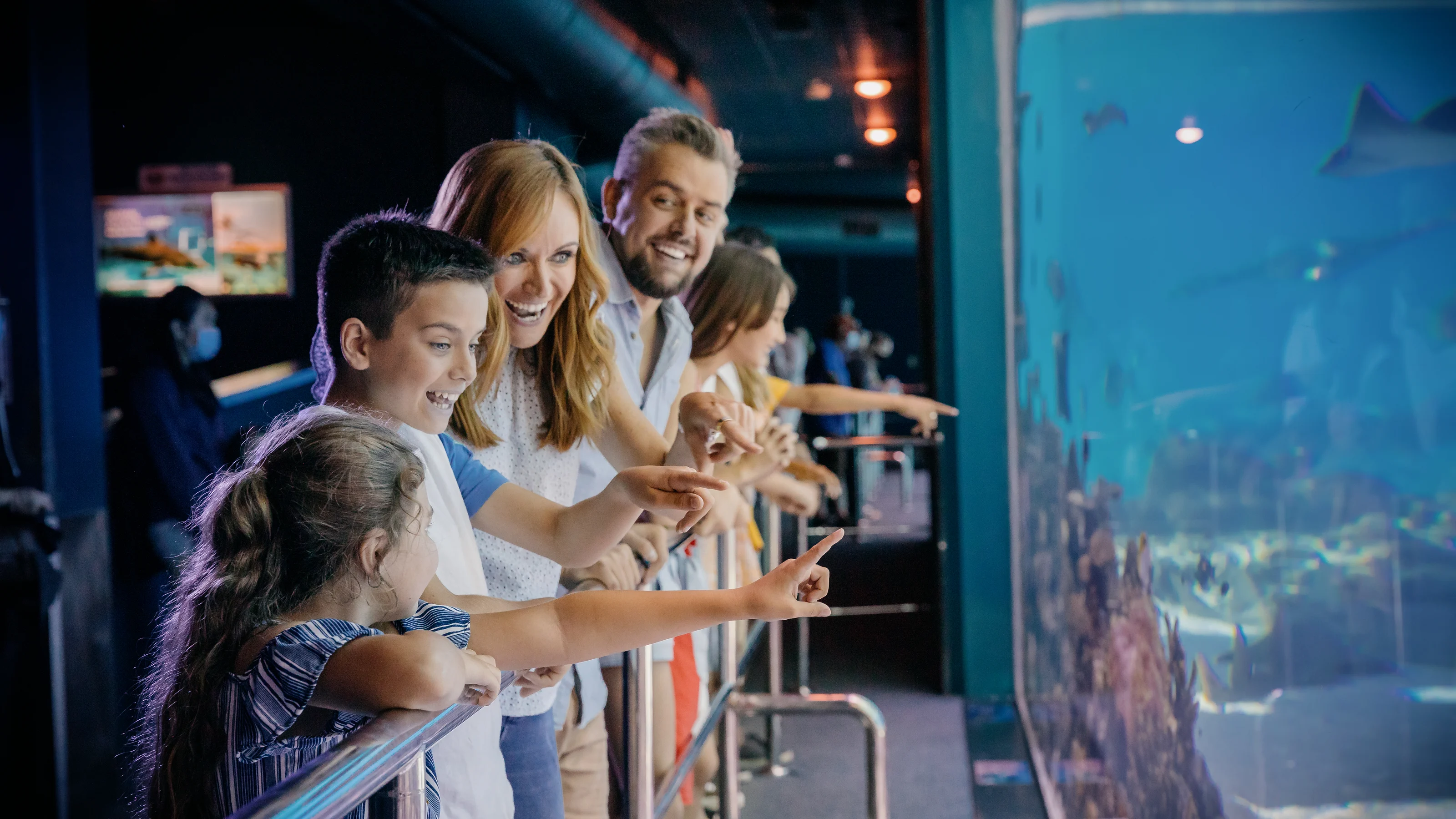 A family of four excitedly points at the fish, rays, sharks, and coral in the Shark Bay aquarium,, marveling at the marine life, as if captivated by the magic of a Sea World adventure.