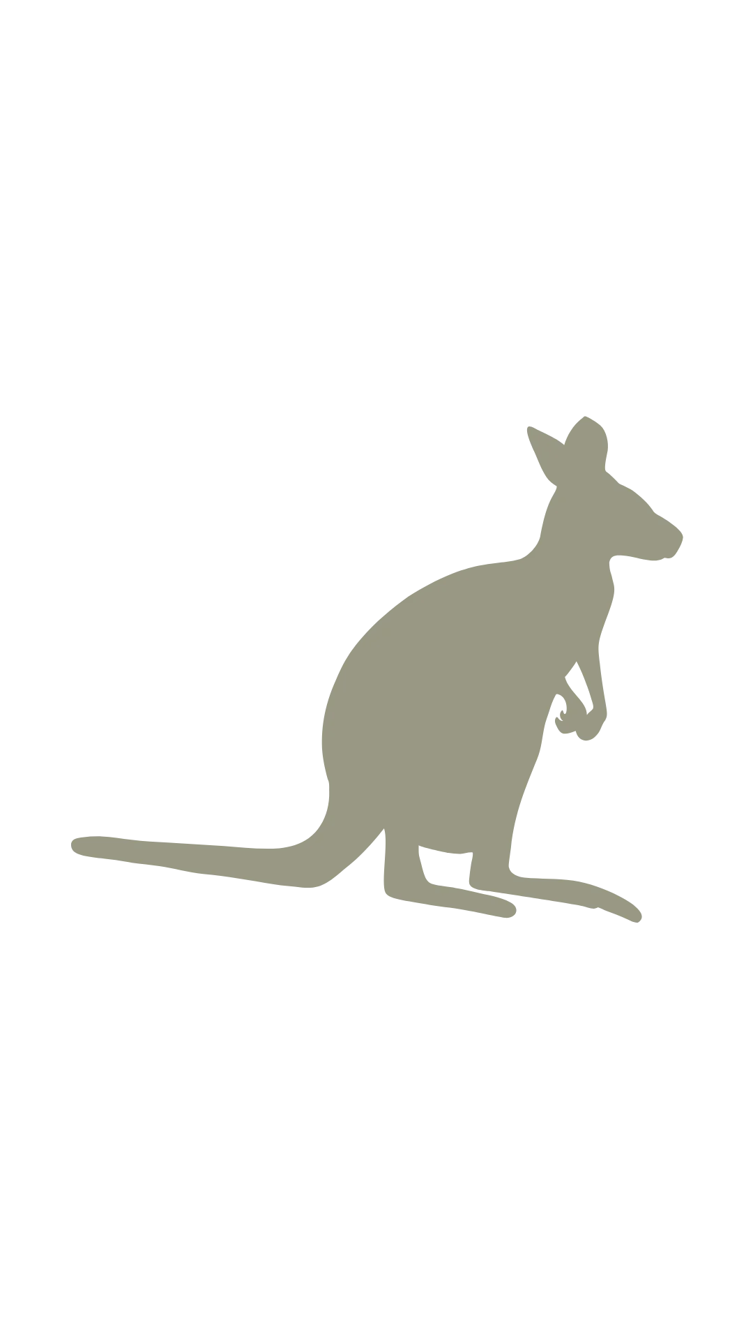 A simple, stylized illustration of a kangaroo in profile, shown in a neutral gray color with no background.