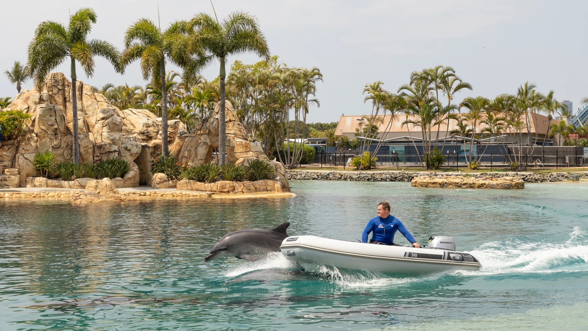 A person in a small white motorboat rides on clear blue water near a dolphin, with palm trees, rocks, and a resort-like setting in the background.