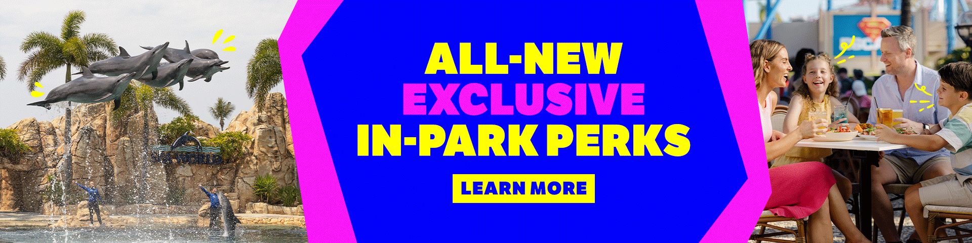 A promotional banner with dolphins leaping on the left, a group of people dining on the right, and bold text in the center reading “All-New Exclusive In-Park Perks. Learn More.” on a bright blue and pink background.