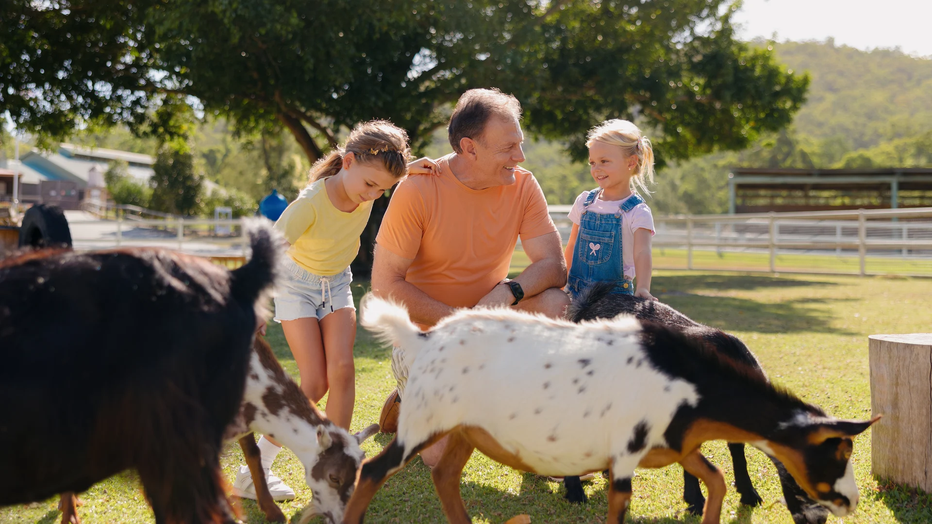 A man and two young girls interact with goats in an outdoor petting zoo.