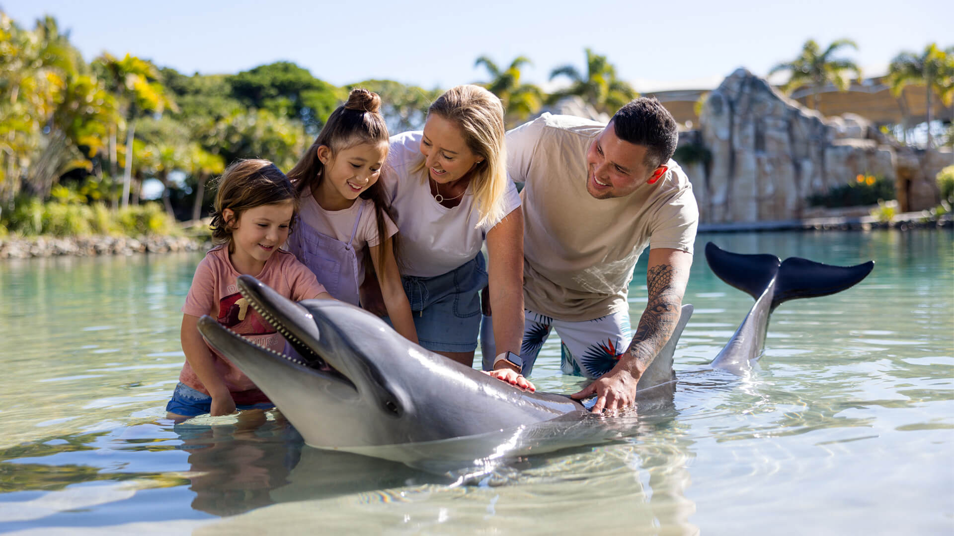 A family of four stands in shallow water, smiling and touching a dolphin, with palm trees and rocks in the background.