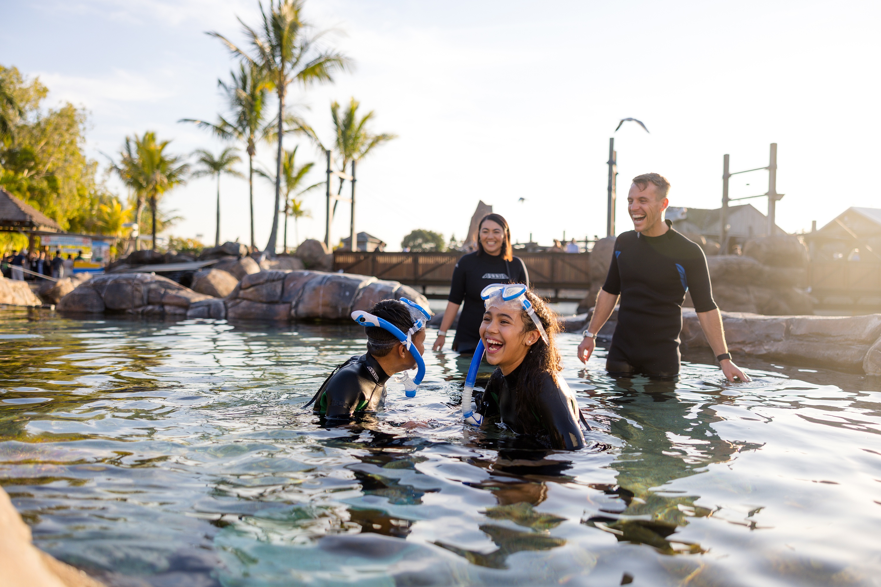 Four people wearing wetsuits and snorkel gear stand and smile together in a shallow outdoor pool, with palm trees and a sunny sky in the background.
